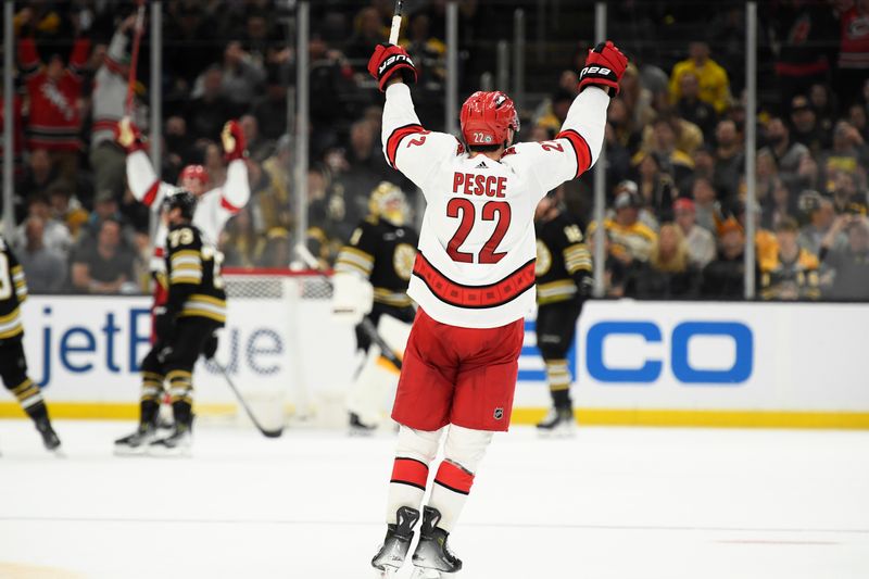 Apr 9, 2024; Boston, Massachusetts, USA; Carolina Hurricanes defenseman Brett Pesce (22) reacts after a goal during the third period against the Boston Bruins at TD Garden. Mandatory Credit: Bob DeChiara-USA TODAY Sports