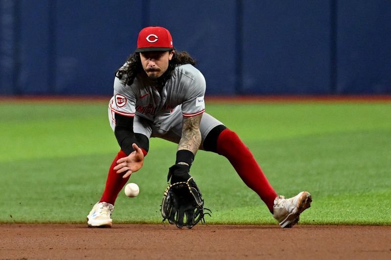 Jul 26, 2024; St. Petersburg, Florida, USA; Cincinnati Reds second baseman Jonathan India (6) fielded a ground ball in the first inning against the Tampa Bay Rays at Tropicana Field. Mandatory Credit: Jonathan Dyer-USA TODAY Sports