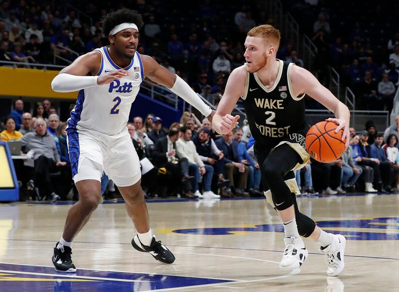 Jan 25, 2023; Pittsburgh, Pennsylvania, USA;  Wake Forest Demon Deacons guard Cameron Hildreth (2) handles the ball against Pittsburgh Panthers forward Blake Hinson (left) during the second half at the Petersen Events Center. Pittsburgh won 81-79. Mandatory Credit: Charles LeClaire-USA TODAY Sports