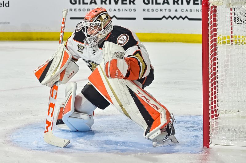 Oct 21, 2023; Tempe, Arizona, USA;  Anaheim Ducks goaltender Lukas Dostal (1) tends the net in the second period against the Arizona Coyotes at Mullett Arena. Mandatory Credit: Matt Kartozian-USA TODAY Sports