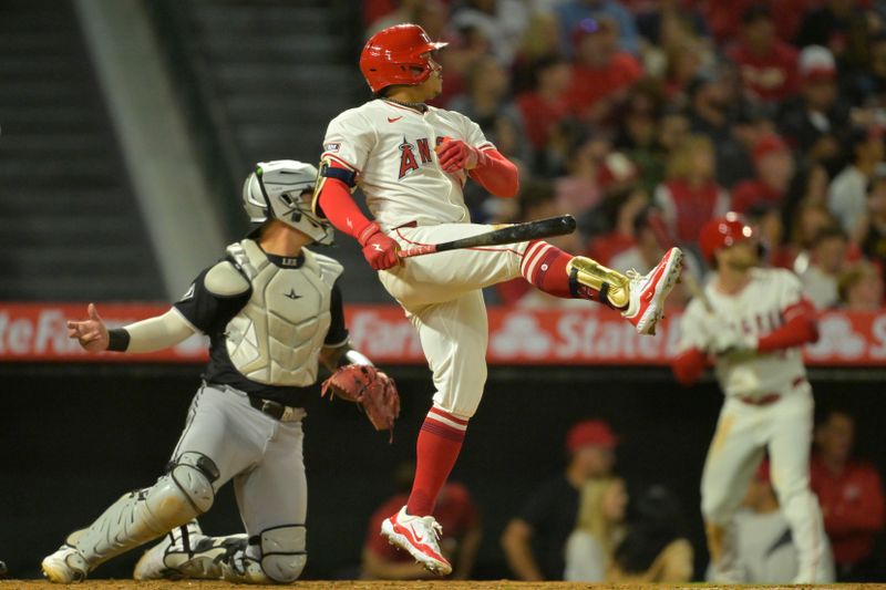 Sep 17, 2024; Anaheim, California, USA;  Los Angeles Angels right fielder Gustavo Campero (51) reacts to a foul ball in the fifth inning against the Chicago White Sox at Angel Stadium. Mandatory Credit: Jayne Kamin-Oncea-Imagn Images