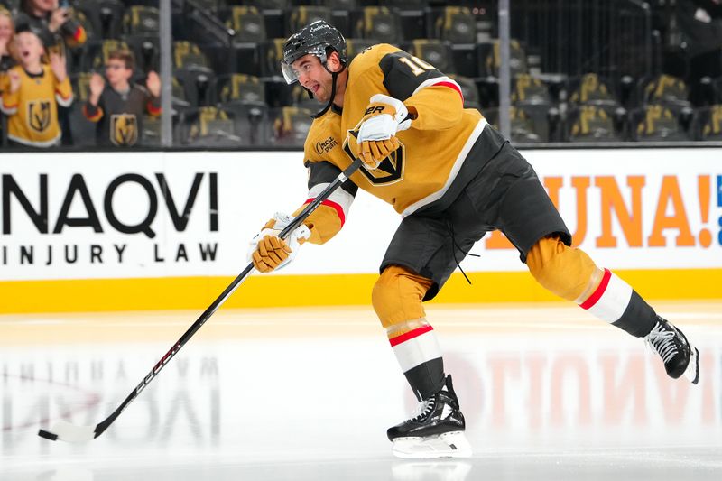 Oct 26, 2024; Las Vegas, Nevada, USA; Vegas Golden Knights center Nicolas Roy (10) warms up before a game against the San Jose Sharks at T-Mobile Arena. Mandatory Credit: Stephen R. Sylvanie-Imagn Images