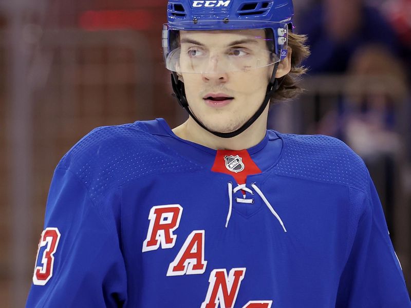 Mar 11, 2024; New York, New York, USA; New York Rangers center Matt Rempe (73) skates against the New Jersey Devils during the second period at Madison Square Garden. Mandatory Credit: Brad Penner-USA TODAY Sports