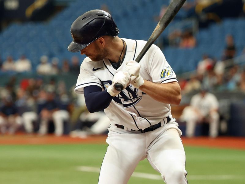 Sep 21, 2023; St. Petersburg, Florida, USA; Tampa Bay Rays second baseman Brandon Lowe (8) gets hit by a pitch against the Los Angeles Angels during the first inning at Tropicana Field. Mandatory Credit: Kim Klement Neitzel-USA TODAY Sports