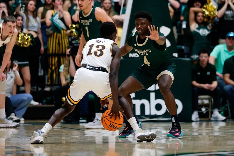 Mar 2, 2024; Fort Collins, Colorado, USA; Wyoming Cowboys guard Akuel Kot (13) controls the ball as Colorado State Rams guard Isaiah Stevens (4) guards in the first half at Moby Arena. Mandatory Credit: Isaiah J. Downing-USA TODAY Sports