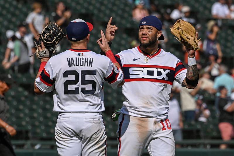 Aug 27, 2023; Chicago, Illinois, USA;  Chicago White Sox first baseman Andrew Vaughn (25) and Chicago White Sox catcher Yasmani Grandal (24) high five after the game against the Oakland Athletics at Guaranteed Rate Field. Mandatory Credit: Matt Marton-USA TODAY Sports