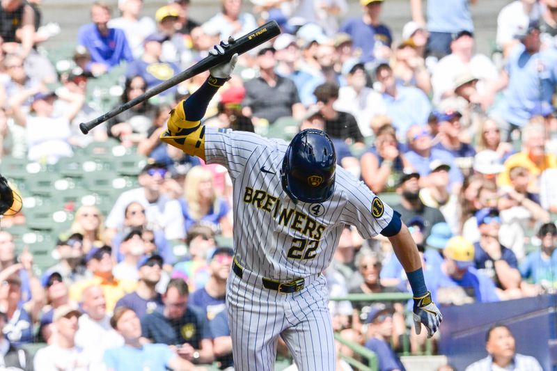 Jun 2, 2024; Milwaukee, Wisconsin, USA;  Milwaukee Brewers left fielder Christian Yelich (22) reacts after hitting a flyball in the third inning against the Chicago White Sox at American Family Field. Mandatory Credit: Benny Sieu-USA TODAY Sports