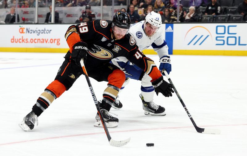 Mar 2Mar 24, 2024; Anaheim, California, USA; Anaheim Ducks left wing Max Jones (49) keeps the puck from Tampa Bay Lightning defenseman Darren Raddysh (43) during the second period at Honda Center. Mandatory Credit: Jason Parkhurst-USA TODAY Sports