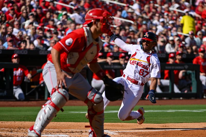 Oct 1, 2023; St. Louis, Missouri, USA;  St. Louis Cardinals left fielder Richie Palacios (67) scores against the Cincinnati Reds during the second inning at Busch Stadium. Mandatory Credit: Jeff Curry-USA TODAY Sports