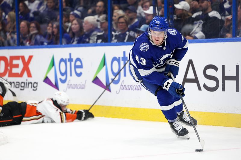 Jan 13, 2024; Tampa, Florida, USA;  Tampa Bay Lightning defenseman Darren Raddysh (43) controls the puck against the Anaheim Ducks in the second period at Amalie Arena. Mandatory Credit: Nathan Ray Seebeck-USA TODAY Sports