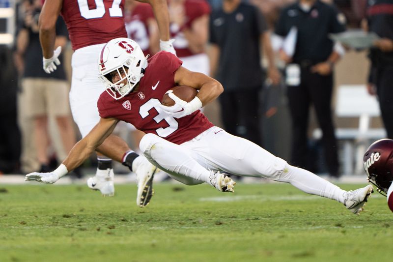 Sep 3, 2022; Stanford, California, USA;  Stanford Cardinal wide receiver Bryce Farrell (3) trips during the third quarter against the Colgate Raiders at Stanford Stadium. Mandatory Credit: Stan Szeto-USA TODAY Sports