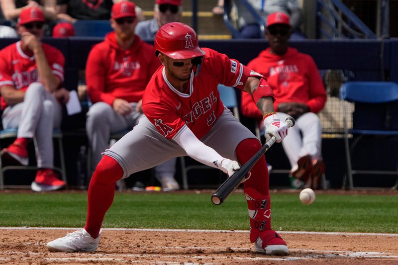 Mar 18, 2024; Phoenix, Arizona, USA; Los Angeles Angels shortstop Zach Neto (9) bunts against the Milwaukee Brewers in the second inning at American Family Fields of Phoenix. Mandatory Credit: Rick Scuteri-USA TODAY Sports