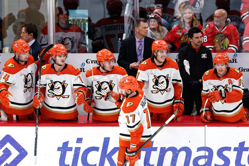 Nov 19, 2024; Chicago, Illinois, USA; Anaheim Ducks left wing Alex Killorn (17) celebrates with teammates after scoring a goal against the Chicago Blackhawks during the third period at United Center. Mandatory Credit: Kamil Krzaczynski-Imagn Images