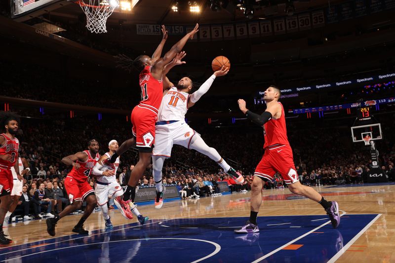 NEW YORK, NY - NOVEMBER 13: Jalen Brunson #11 of the New York Knicks drives to the basket during the game against the Chicago Bulls on November 13, 2024 at Madison Square Garden in New York City, New York.  NOTE TO USER: User expressly acknowledges and agrees that, by downloading and or using this photograph, User is consenting to the terms and conditions of the Getty Images License Agreement. Mandatory Copyright Notice: Copyright 2024 NBAE  (Photo by Joe Murphy/NBAE via Getty Images)