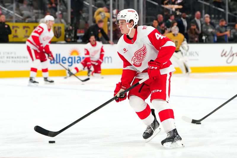 Nov 4, 2025; Las Vegas, Nevada, USA; Detroit Red Wings defenseman Axel Sandin-Pellikka (44) warms up before a game against the Vegas Golden Knights at T-Mobile Arena. Mandatory Credit: Stephen R. Sylvanie-Imagn Images
