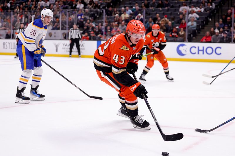 Nov 22, 2024; Anaheim, California, USA; Anaheim Ducks defenseman Drew Helleson (43) controls the puck during the second period at Honda Center against the Buffalo Sabres. Mandatory Credit: Ryan Sun-Imagn Images