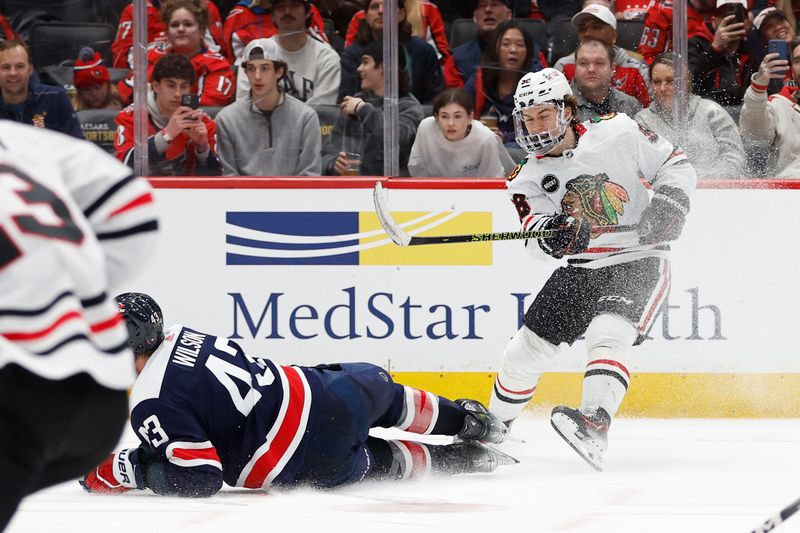 Mar 9, 2024; Washington, District of Columbia, USA; Washington Capitals right wing Tom Wilson (43) attempts to block a shot by Chicago Blackhawks center Connor Bedard (98) in the second period at Capital One Arena. Mandatory Credit: Geoff Burke-USA TODAY Sports