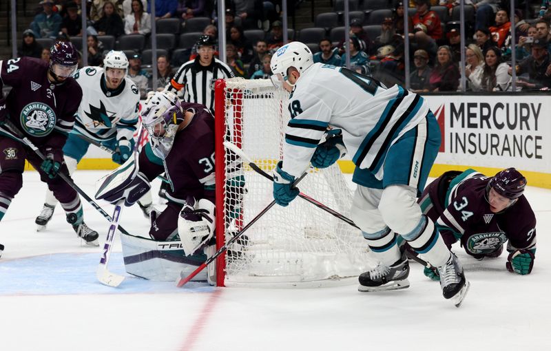 Nov 12, 2023; Anaheim, California, USA; Anaheim Ducks goaltender John Gibson (36) stops a shot by San Jose Sharks center Tomas Hertl (48) during the first period at Honda Center. Mandatory Credit: Jason Parkhurst-USA TODAY Sports