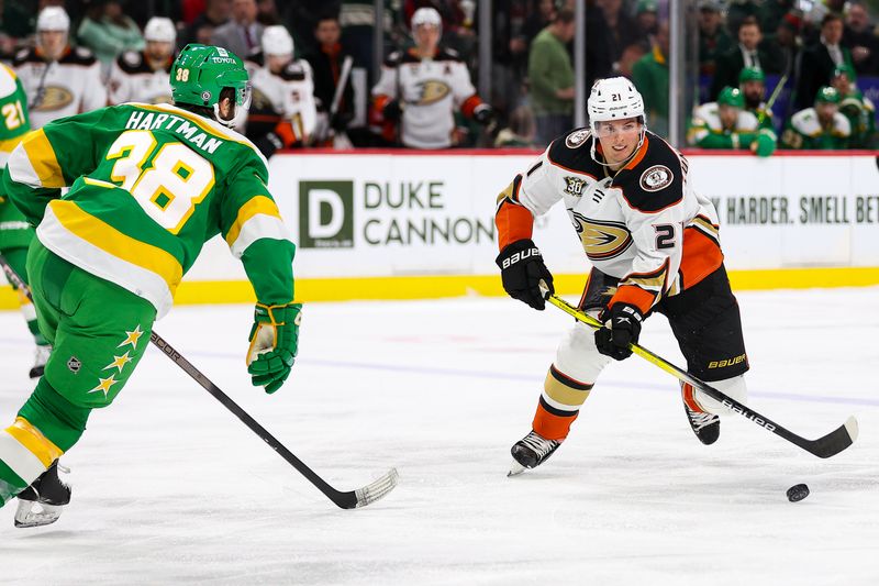 Jan 27, 2024; Saint Paul, Minnesota, USA; Anaheim Ducks center Isac Lundestrom (21) skates with the puck as Minnesota Wild right wing Ryan Hartman (38) defends during the second period at Xcel Energy Center. Mandatory Credit: Matt Krohn-USA TODAY Sports