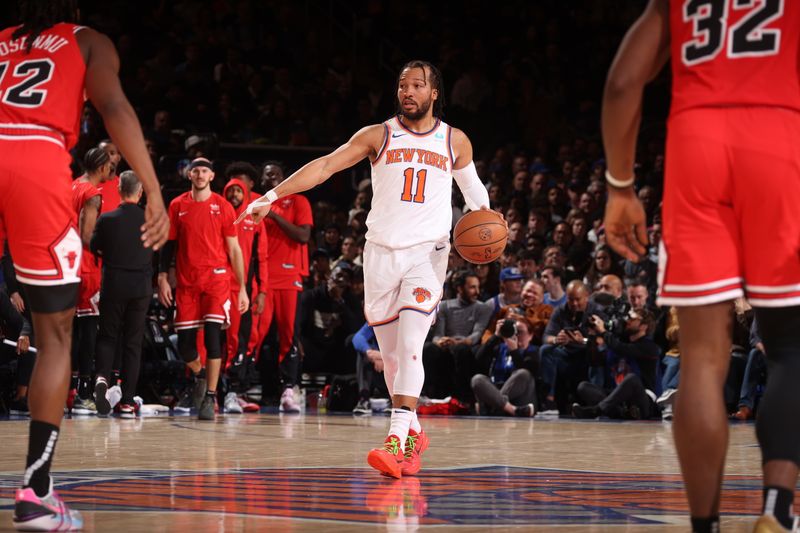 NEW YORK, NY - JANUARY 3: Jalen Brunson #11 of the New York Knicks brings the ball up court against the Chicago Bulls on January 3, 2024 at Madison Square Garden in New York City, New York.  NOTE TO USER: User expressly acknowledges and agrees that, by downloading and or using this photograph, User is consenting to the terms and conditions of the Getty Images License Agreement. Mandatory Copyright Notice: Copyright 2024 NBAE  (Photo by Nathaniel S. Butler/NBAE via Getty Images)