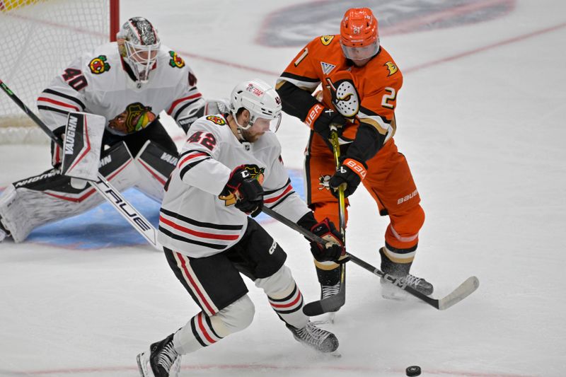 Nov 3, 2024; Anaheim, California, USA;  Chicago Blackhawks defenseman Nolan Allan (42) and Anaheim Ducks center Isac Lundestrom (21) go for the puck in the second period at Honda Center. Mandatory Credit: Jayne Kamin-Oncea-Imagn Images