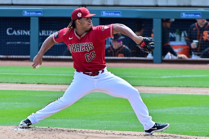 Mar 14, 2023; Salt River Pima-Maricopa, Arizona, USA; Arizona Diamondbacks starting pitcher Luis Frias (65) throws in the second inning against the San Francisco Giants during a Spring Training game at Salt River Fields at Talking Stick. Mandatory Credit: Matt Kartozian-USA TODAY Sports