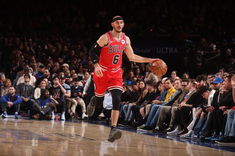 NEW YORK, NY - JANUARY 3: Alex Caruso #6 of the Chicago Bulls brings the ball up court against the New York Knicks on January 3, 2024 at Madison Square Garden in New York City, New York.  NOTE TO USER: User expressly acknowledges and agrees that, by downloading and or using this photograph, User is consenting to the terms and conditions of the Getty Images License Agreement. Mandatory Copyright Notice: Copyright 2024 NBAE  (Photo by Nathaniel S. Butler/NBAE via Getty Images)