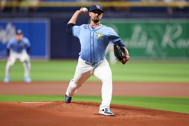 Apr 24, 2024; St. Petersburg, Florida, USA;  Tampa Bay Rays pitcher Shawn Armstrong (64) throws a pitch against the Detroit Tigers in the first inning at Tropicana Field. Mandatory Credit: Nathan Ray Seebeck-USA TODAY Sports