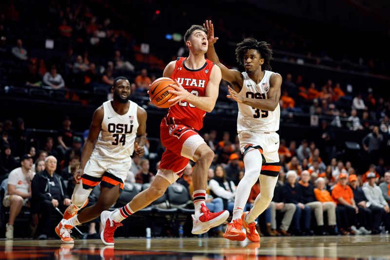 Jan 26, 2023; Corvallis, Oregon, USA; Utah Utes guard Lazar Stefanovic (20) drives to the basket against Oregon State Beavers forward Glenn Taylor Jr. (35) during the second half at Gill Coliseum. Mandatory Credit: Soobum Im-USA TODAY Sports