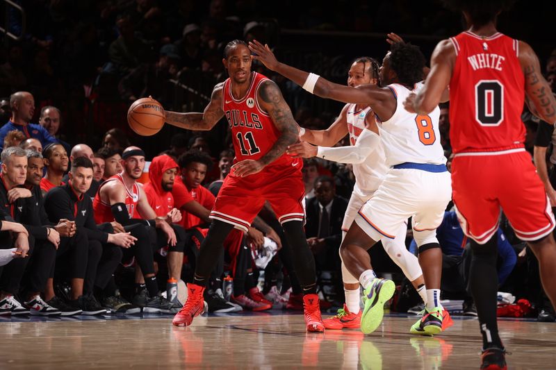 NEW YORK, NY - JANUARY 3: DeMar DeRozan #11 of the Chicago Bulls dribbles the ball during the game against the New York Knicks on January 3, 2024 at Madison Square Garden in New York City, New York.  NOTE TO USER: User expressly acknowledges and agrees that, by downloading and or using this photograph, User is consenting to the terms and conditions of the Getty Images License Agreement. Mandatory Copyright Notice: Copyright 2024 NBAE  (Photo by Nathaniel S. Butler/NBAE via Getty Images)
