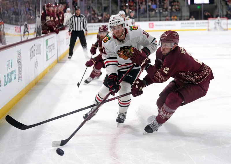 Mar 18, 2023; Tempe, Arizona, USA; Chicago Blackhawks right wing Taylor Raddysh (11) moves the puck by Arizona Coyotes defenseman Patrik Nemeth (2) during the first period at Mullett Arena. Mandatory Credit: Joe Camporeale-USA TODAY Sports