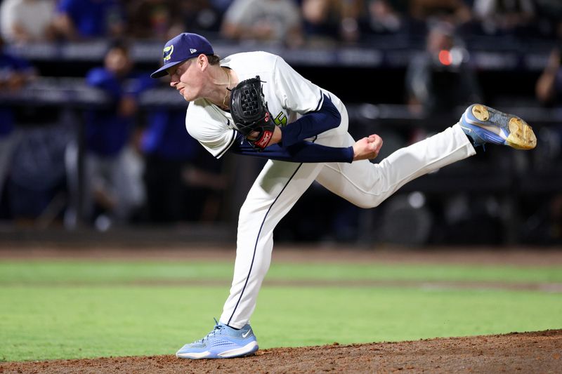 May 24, 2025; Tampa, Florida, USA; Tampa Bay Rays pitcher Pete Fairbanks (29) throws a pitch against the Toronto Blue Jays in the ninth inning at George M. Steinbrenner Field. Mandatory Credit: Nathan Ray Seebeck-Imagn Images