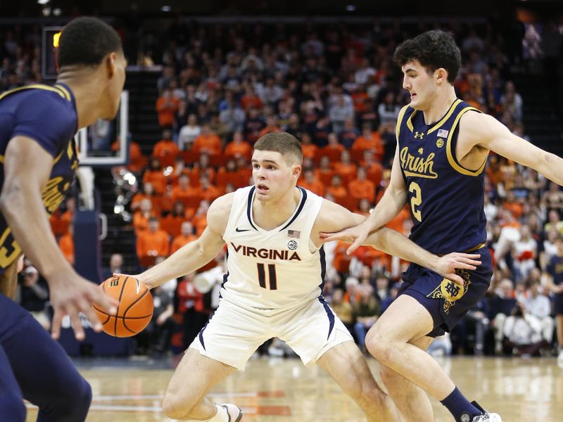 Jan 31, 2024; Charlottesville, Virginia, USA; Notre Dame Fighting Irish guard Braeden Shrewsberry (11) dribbles the ball as Notre Dame Fighting Irish guard Logan Imes (2) defends during the second half at John Paul Jones Arena. Mandatory Credit: Amber Searls-USA TODAY Sports