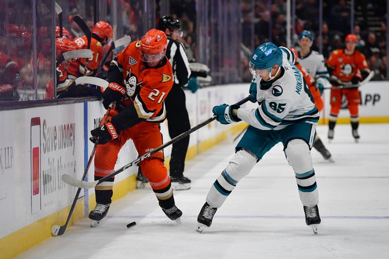 Apr 1, 2025; Anaheim, California, USA; San Jose Sharks defenseman Shakir Mukhamadullin (85) plays for the puck against Anaheim Ducks center Isac Lundestrom (21) during the second period at Honda Center. Mandatory Credit: Gary A. Vasquez-Imagn Images
