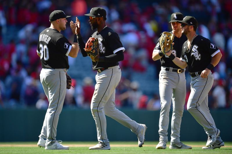 Jun 29, 2023; Anaheim, California, USA; Chicago White Sox third baseman Jake Burger (30) center fielder Luis Robert Jr. (88) second baseman Zach Remillard (28) and left fielder Andrew Benintendi (23) celebrate the victory against the Los Angeles Angels at Angel Stadium. Mandatory Credit: Gary A. Vasquez-USA TODAY Sports