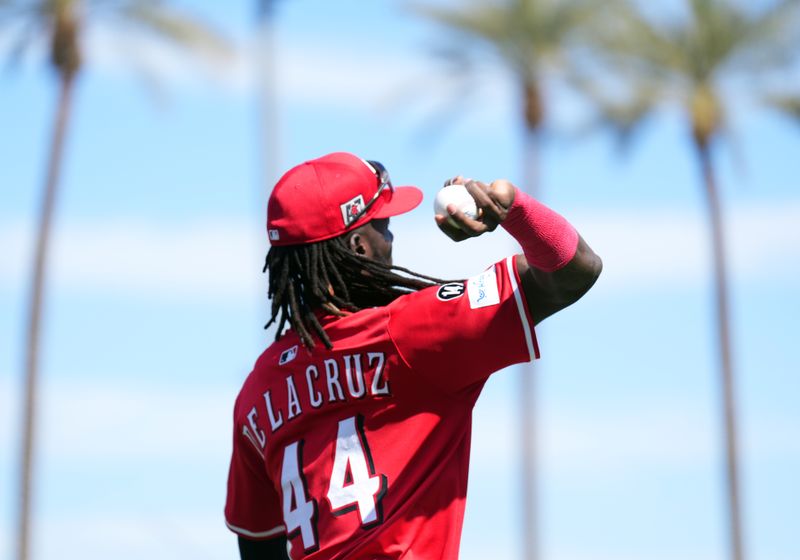 Feb 24, 2025; Goodyear, Arizona, USA; Cincinnati Reds shortstop Elly De La Cruz (44) warms up before facing the against the Los Angeles Dodgers at Goodyear Ballpark. Mandatory Credit: Joe Camporeale-Imagn Images