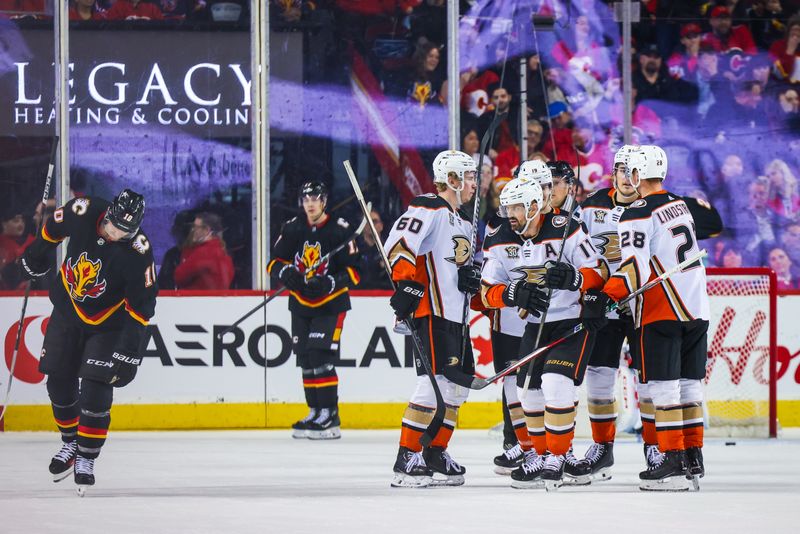 Apr 2, 2024; Calgary, Alberta, CAN; Anaheim Ducks left wing Alex Killorn (17) celebrates his goal with teammates against the Calgary Flames during the third period at Scotiabank Saddledome. Mandatory Credit: Sergei Belski-USA TODAY Sports