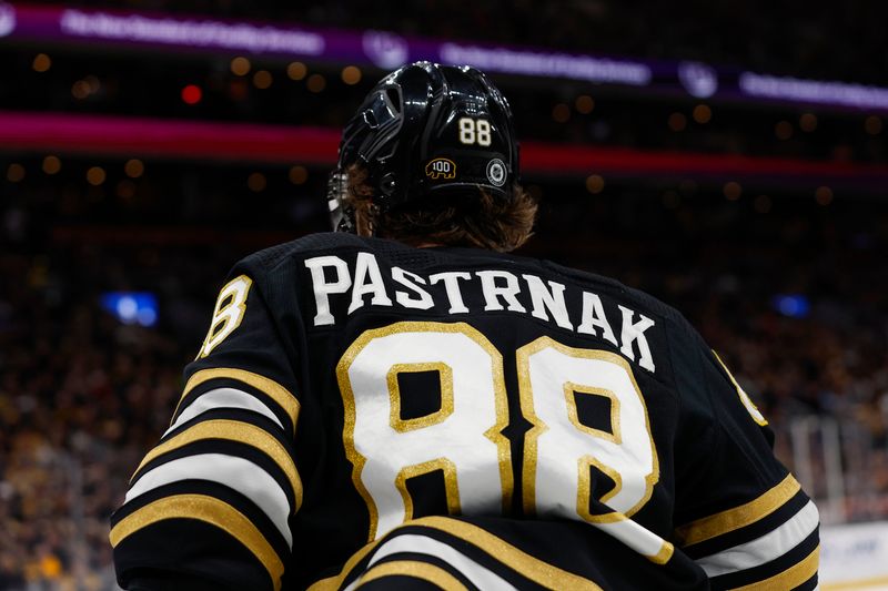 Jan 15, 2024; Boston, Massachusetts, USA; The nameplate  of Boston Bruins right wing David Pastrnak (88) is seen on the back of his jersey during the third period against the New Jersey Devils at TD Garden. Mandatory Credit: Winslow Townson-USA TODAY Sports