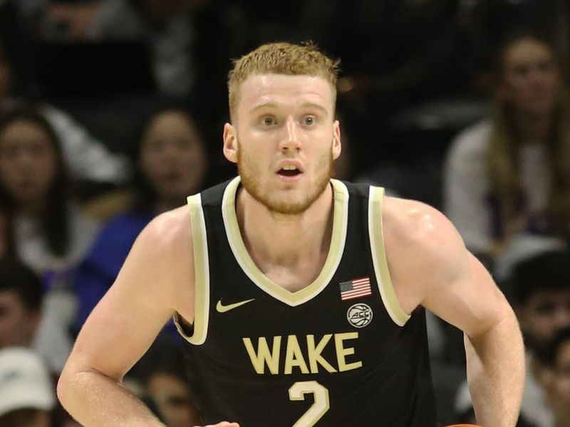 Jan 25, 2023; Pittsburgh, Pennsylvania, USA;  Wake Forest Demon Deacons guard Cameron Hildreth (2) brings the ball up court against the Pittsburgh Panthers during the second half at the Petersen Events Center. Pittsburgh won 81-79. Mandatory Credit: Charles LeClaire-USA TODAY Sports