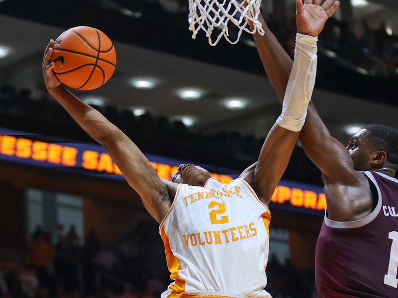 Feb 24, 2024; Knoxville, Tennessee, USA; Tennessee Volunteers guard Jordan Gainey (2) goes to the basket against Texas A&M Aggies forward Henry Coleman III (15) during the second half at Thompson-Boling Arena at Food City Center. Mandatory Credit: Randy Sartin-USA TODAY Sports