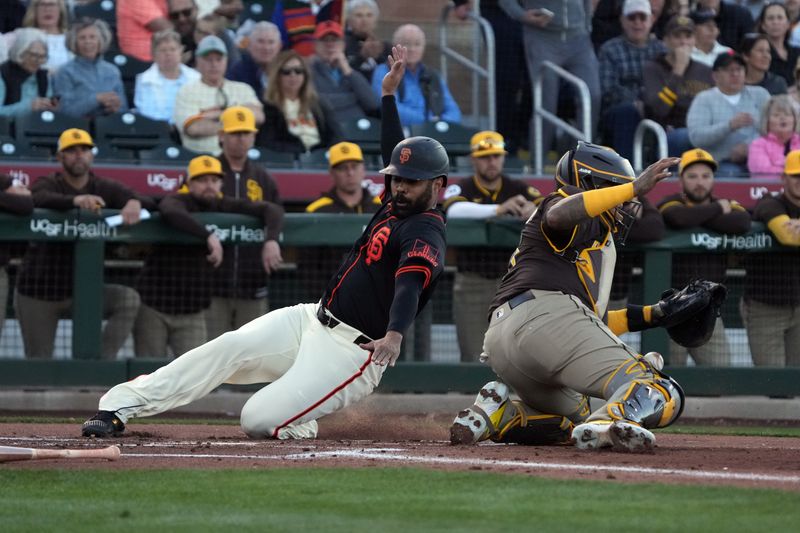 Mar 18, 2025; Scottsdale, Arizona, USA; San Francisco Giants first base LaMonte Wade Jr. (31) scores a run against the San Diego Padres in the first inning at Scottsdale Stadium. Mandatory Credit: Rick Scuteri-Imagn Images