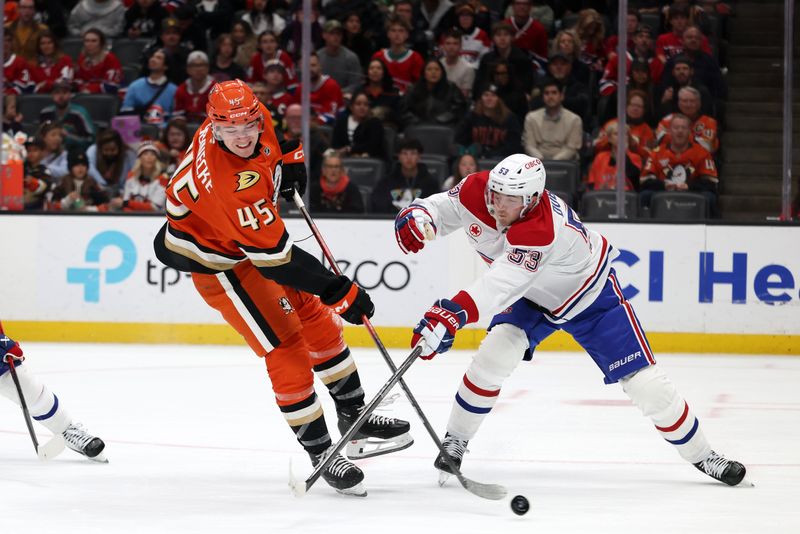 Mar 6, 2026; Anaheim, California, USA;  Anaheim Ducks right wing Beckett Sennecke (45) fights for the puck against Montreal Canadiens defenseman Noah Dobson (53) during the second period at Honda Center. Mandatory Credit: Kiyoshi Mio-Imagn Images