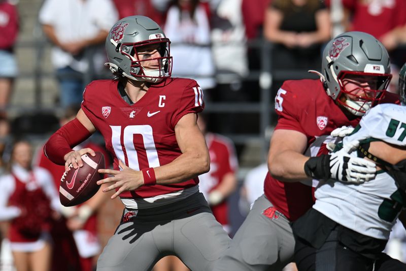 Oct 19, 2024; Pullman, Washington, USA; Washington State Cougars quarterback John Mateer (10) throws a pass against the Hawaii Warriors in the first half at Gesa Field at Martin Stadium. Mandatory Credit: James Snook-Imagn Images