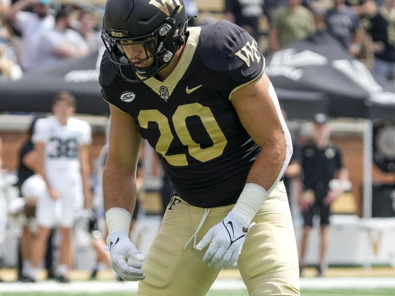 Sep 9, 2023; Winston-Salem, North Carolina, USA; Wake Forest Demon Deacons defensive back Trent Nicholson (20) during the second quarter at Allegacy Federal Credit Union Stadium. Mandatory Credit: Jim Dedmon-USA TODAY Sports