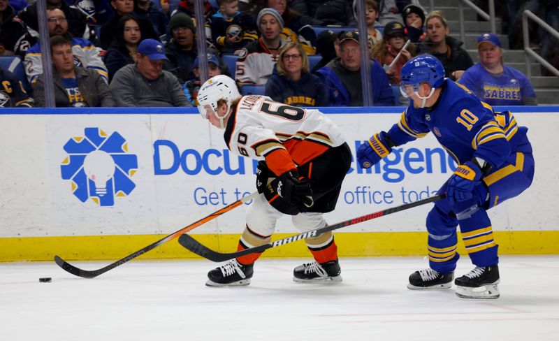 Feb 19, 2024; Buffalo, New York, USA;  Anaheim Ducks defenseman Jackson LaCombe (60) and Buffalo Sabres defenseman Henri Jokiharju (10) go after a loose puck during the first period at KeyBank Center. Mandatory Credit: Timothy T. Ludwig-USA TODAY Sports