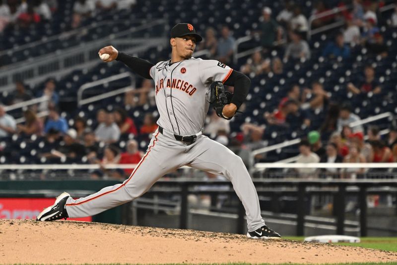 Aug 6, 2024; Washington, District of Columbia, USA; San Francisco Giants relief pitcher Randy Rodriguez (73) throes a pitch against the Washington Nationals during the fourth inning at Nationals Park. Mandatory Credit: Rafael Suanes-USA TODAY Sports