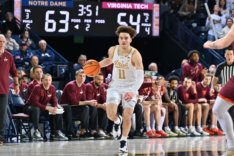 Feb 10, 2024; South Bend, Indiana, USA; Notre Dame Fighting Irish guard Braeden Shrewsberry (11) dribbles in the second half against the Virginia Tech Hokies at the Purcell Pavilion. Mandatory Credit: Matt Cashore-USA TODAY Sports