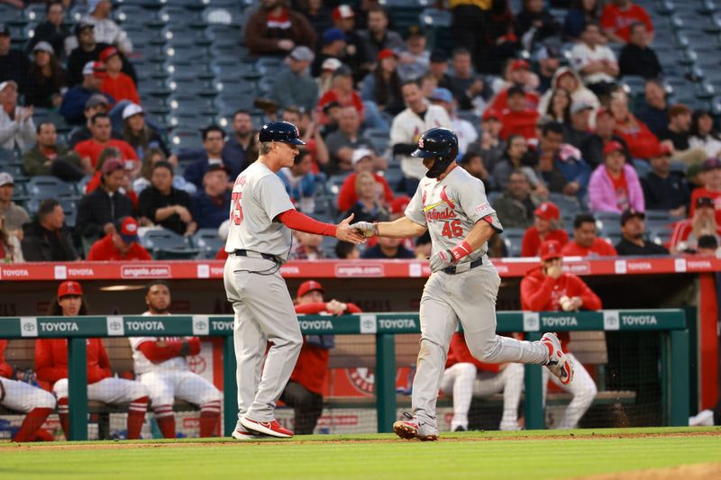 May 15, 2024; Anaheim, California, USA;  St. Louis Cardinals first baseman Paul Goldschmidt (46) is greeted by third base coach Ron 'Pop' Warner (75) after hitting a home run during the sixth inning against the Los Angeles Angels at Angel Stadium. Mandatory Credit: Kiyoshi Mio-USA TODAY Sports