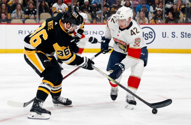 Feb 14, 2024; Pittsburgh, Pennsylvania, USA; Pittsburgh Penguins center Colin White (36) moves the puck against Florida Panthers defenseman Gustav Forsling (42) during the first period at PPG Paints Arena. Mandatory Credit: Charles LeClaire-USA TODAY Sports