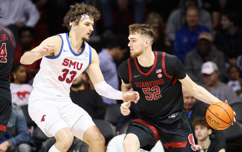 Feb 1, 2025; Dallas, Texas, USA; Stanford Cardinal forward Aidan Cammann (52) dribbles as Southern Methodist Mustangs forward Matt Cross (33) defends during the first half at Moody Coliseum. Mandatory Credit: Kevin Jairaj-Imagn Images